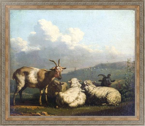 Постер Овцы и козлы с типом исполнения На холсте в раме в багетной раме 484.M48.310