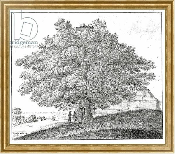 Постер Hollow Tree at Hampstead, 1663 с типом исполнения На холсте в раме в багетной раме NA033.1.051