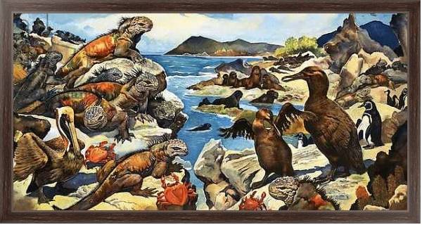 Постер Unidentified lizards, birds, crabs and creatures on a rocky shoreline с типом исполнения На холсте в раме в багетной раме 221-02