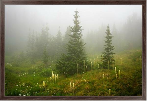 Постер США. Монтана. Национальный парк Глейшер 3 с типом исполнения На холсте в раме в багетной раме 221-02