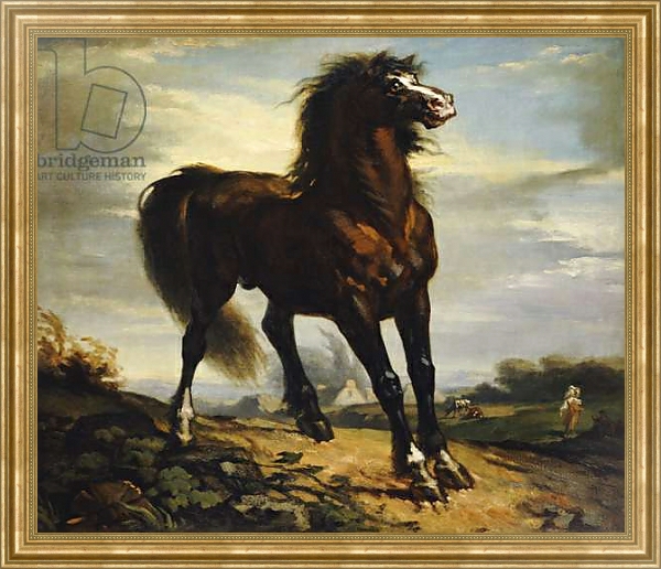 Постер The Horse с типом исполнения На холсте в раме в багетной раме NA033.1.051