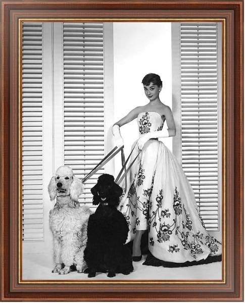 Постер Хепберн Одри 84 с типом исполнения На холсте в раме в багетной раме 35-M719P-83