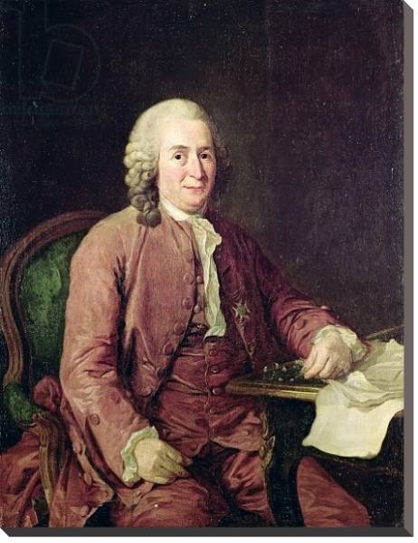 Постер Portrait of Carl von Linnaeus с типом исполнения На холсте без рамы