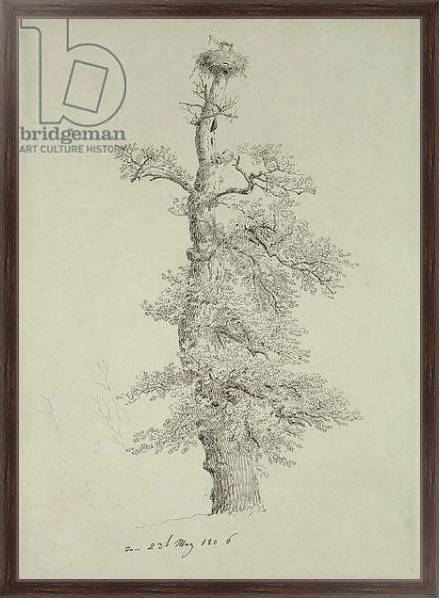 Постер Ancient Oak Tree with a Stork's Nest, 23rd May 1806 с типом исполнения На холсте в раме в багетной раме 221-02