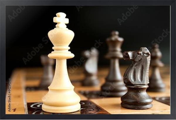 Постер Шахматы 2 с типом исполнения На холсте в раме в багетной раме 1727.8010