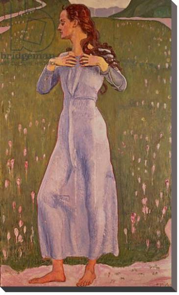 Постер Emotion, 1900 с типом исполнения На холсте без рамы