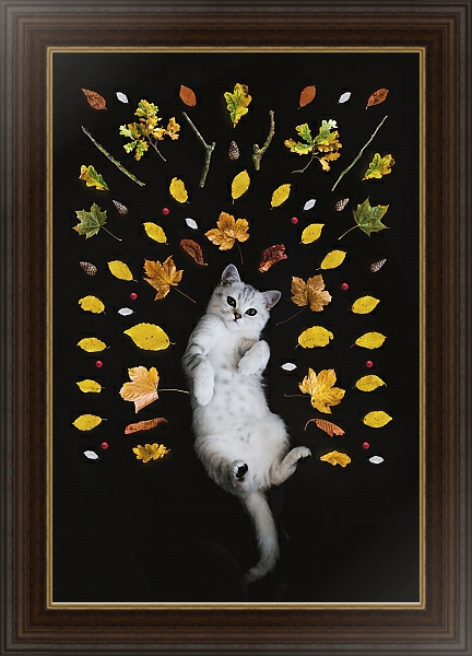 Постер Кот и осенние листья с типом исполнения На холсте в раме в багетной раме 1.023.151