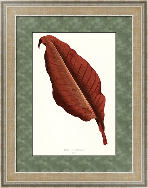 Постер Великолепный одиночный красный лист с типом исполнения Акварель в раме в багетной раме 485.M40.584