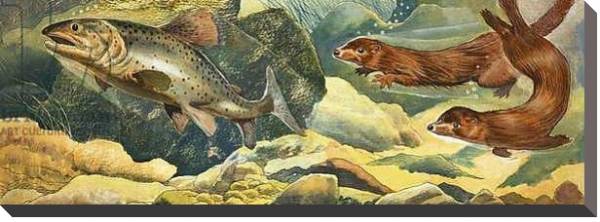Постер Otters chasing fish с типом исполнения На холсте без рамы