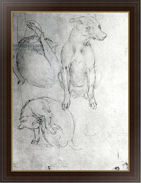 Постер Study of a dog and a cat, c.1480 с типом исполнения На холсте в раме в багетной раме 1.023.151