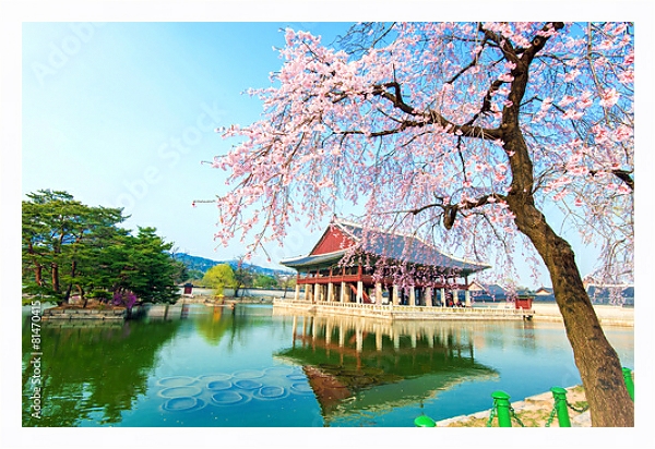 Постер Кенбоккун, дворец в вишневом саду весной, Южная Корея с типом исполнения На холсте в раме в багетной раме 221-03