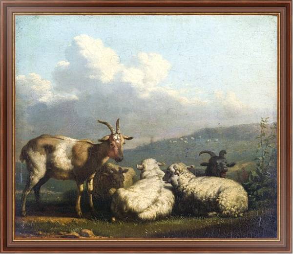 Постер Овцы и козлы с типом исполнения На холсте в раме в багетной раме 35-M719P-83