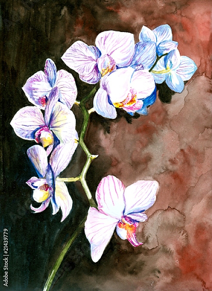 Постер Белая орхидея, акварель с типом исполнения На холсте без рамы