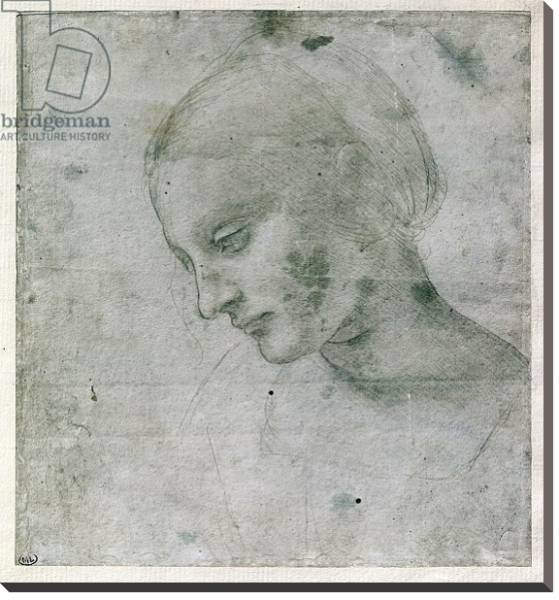 Постер Head of a Young Woman or Head of the Virgin, c.1490 с типом исполнения На холсте без рамы