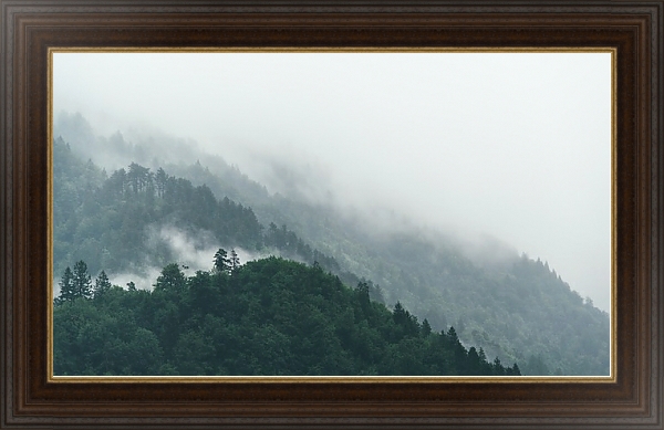 Постер Туманные леса на склонах холмов с типом исполнения На холсте в раме в багетной раме 1.023.151