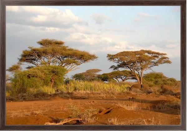 Постер Кения, Африка. Национальный парк 2 с типом исполнения На холсте в раме в багетной раме 221-02