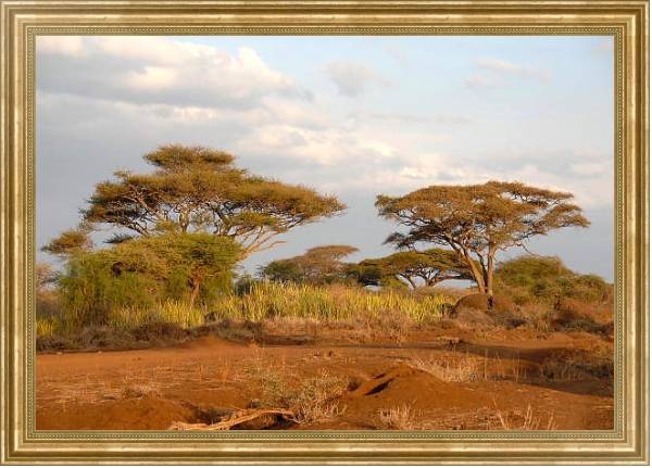 Постер Кения, Африка. Национальный парк 2 с типом исполнения На холсте в раме в багетной раме NA033.1.051