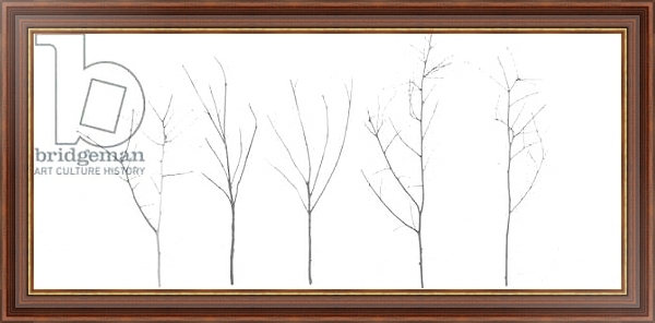 Постер Territori Innevati - cinque alberi giorno, 2012, photographic contamination с типом исполнения На холсте в раме в багетной раме 35-M719P-83
