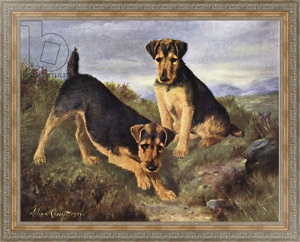 Постер Welsh Terriers Glansevin Coquette and Champion Glansevin Coda с типом исполнения На холсте в раме в багетной раме 484.M48.310