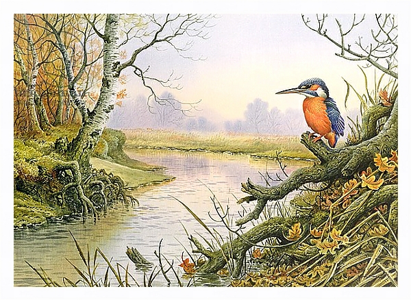 Постер Kingfisher: Autumn River Scene с типом исполнения На холсте в раме в багетной раме 221-03
