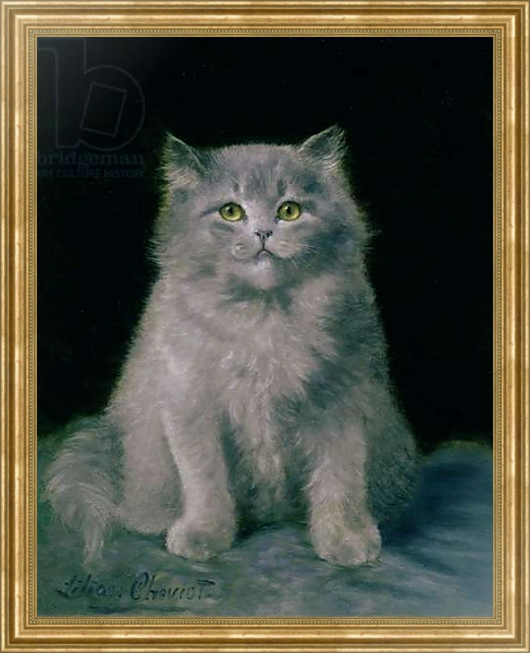 Постер Study of a cat с типом исполнения На холсте в раме в багетной раме NA033.1.051