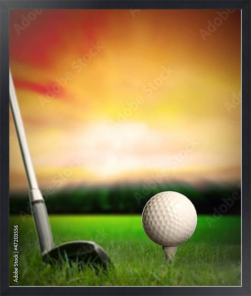 Постер Мяч для игры в гольф перед первым ударом с типом исполнения На холсте в раме в багетной раме 1727.8010