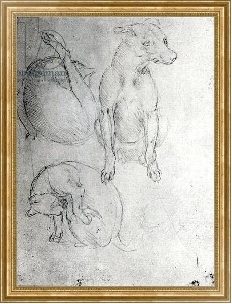 Постер Study of a dog and a cat, c.1480 с типом исполнения На холсте в раме в багетной раме NA033.1.051