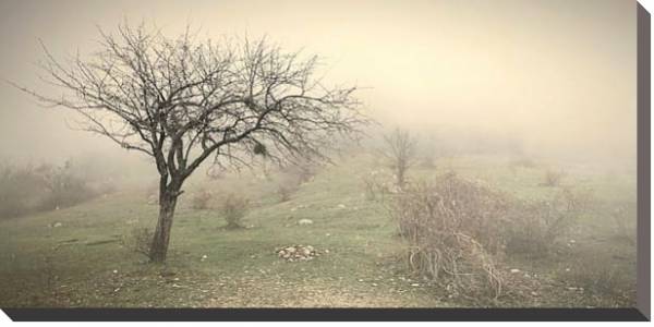 Постер Туман в поле с типом исполнения На холсте без рамы