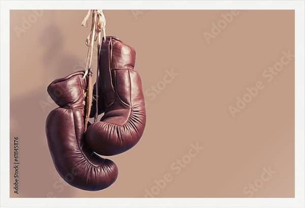 Постер Боксерские перчатки с типом исполнения На холсте в раме в багетной раме 1727.7010