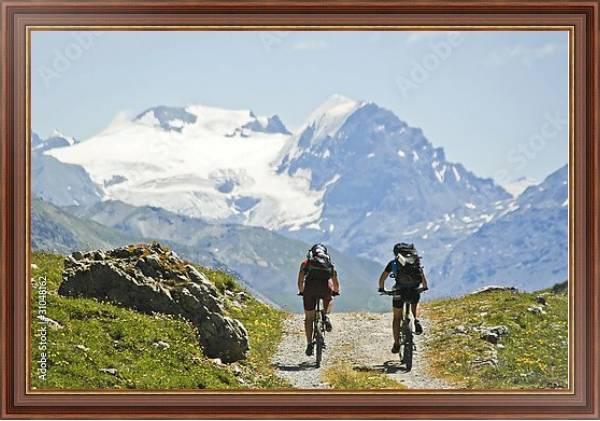 Постер Велосипедисты на фоне горы Ортлер, Италия с типом исполнения На холсте в раме в багетной раме 35-M719P-83