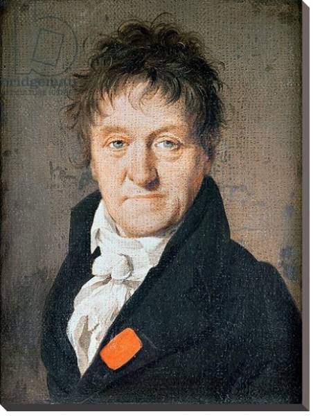Постер Portrait of Lazare Nicolas Marguerite Carnot 1813 с типом исполнения На холсте без рамы