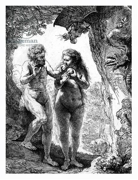 Постер Adam and Eve, 1638 с типом исполнения На холсте в раме в багетной раме 221-03