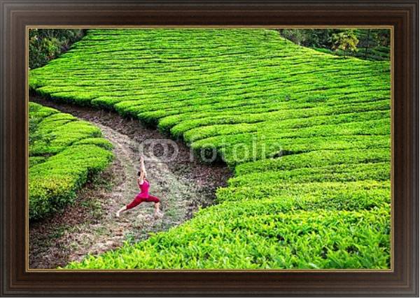 Постер Йога на чайных плантациях с типом исполнения На холсте в раме в багетной раме 1.023.151