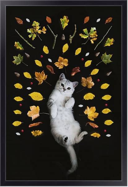 Постер Кот и осенние листья с типом исполнения На холсте в раме в багетной раме 221-01