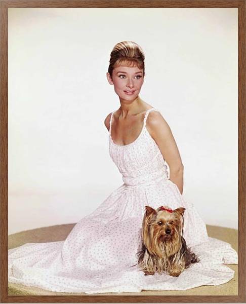 Постер Hepburn, Audrey 5 с типом исполнения На холсте в раме в багетной раме 1727.4310