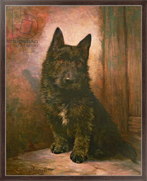 Постер Scottie Puppy с типом исполнения На холсте в раме в багетной раме 221-02