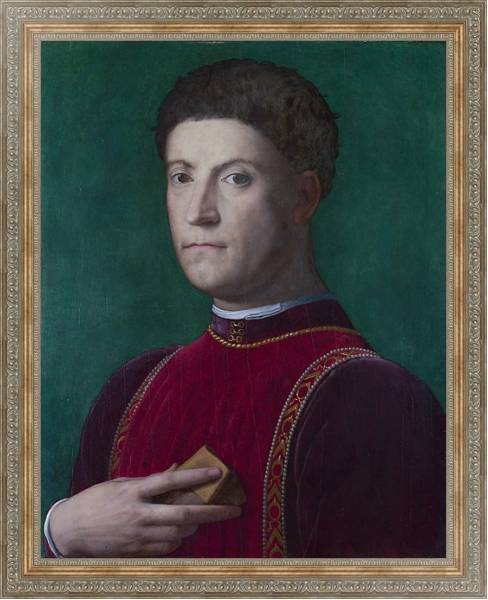 Постер Портрет Пьеро де Медичи с типом исполнения На холсте в раме в багетной раме 484.M48.310