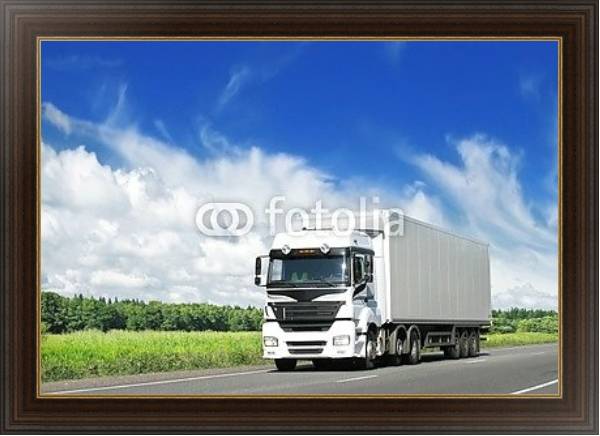 Постер Белый грузовик на сельской автодороге с типом исполнения На холсте в раме в багетной раме 1.023.151