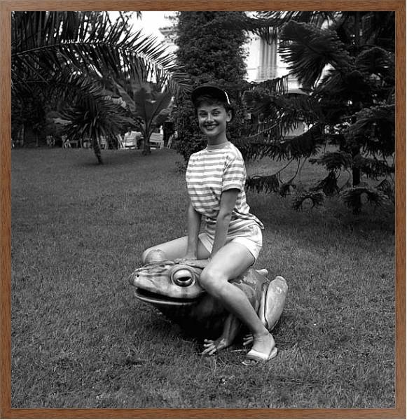 Постер Hepburn, Audrey 68 с типом исполнения На холсте в раме в багетной раме 1727.4310