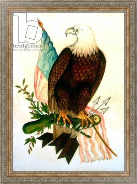 Постер Bald eagle with flag с типом исполнения На холсте в раме в багетной раме 484.M48.310