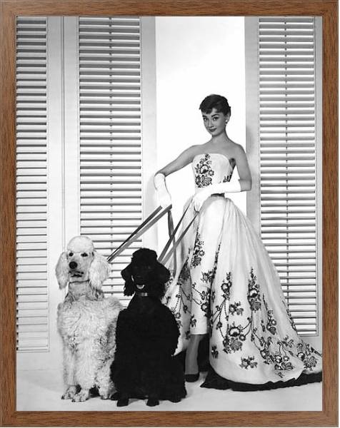 Постер Хепберн Одри 84 с типом исполнения На холсте в раме в багетной раме 1727.4310