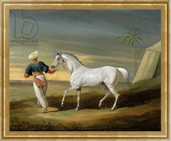 Постер Signal, a grey Arab, with a Groom in the Desert с типом исполнения На холсте в раме в багетной раме NA033.1.051
