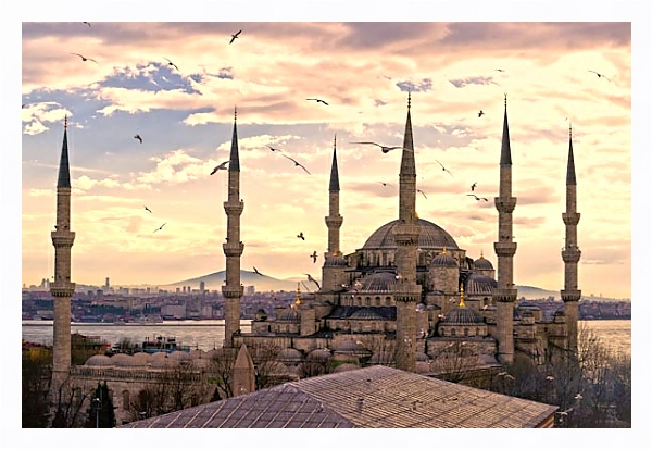Постер Мечеть Султанахмет. Стамбул с типом исполнения На холсте в раме в багетной раме 221-03