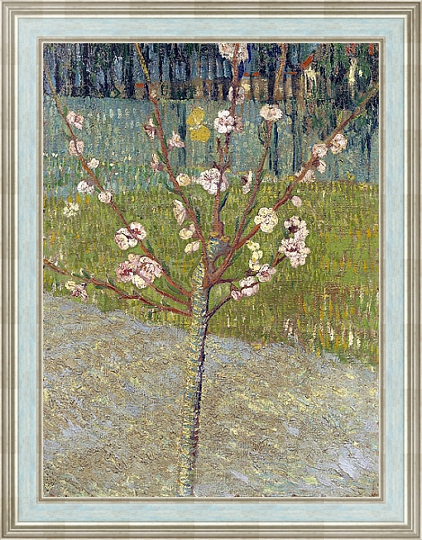 Постер Миндальное дерево в цвету, 1888 с типом исполнения На холсте в раме в багетной раме NA053.0.114