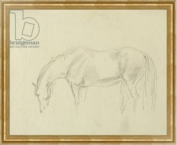 Постер A horse grazing с типом исполнения На холсте в раме в багетной раме NA033.1.051