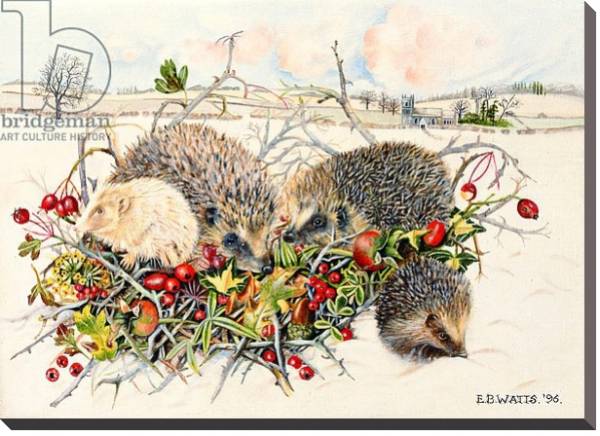 Постер Hedgehogs in Hedgerow Basket, 1996 с типом исполнения На холсте без рамы