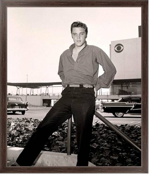 Постер Presley, Elvis 14 с типом исполнения На холсте в раме в багетной раме 221-02