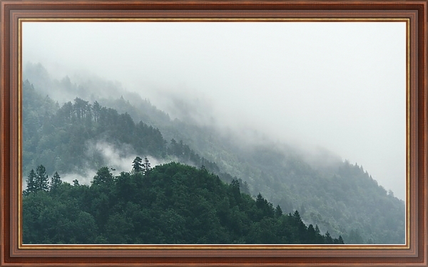 Постер Туманные леса на склонах холмов с типом исполнения На холсте в раме в багетной раме 35-M719P-83