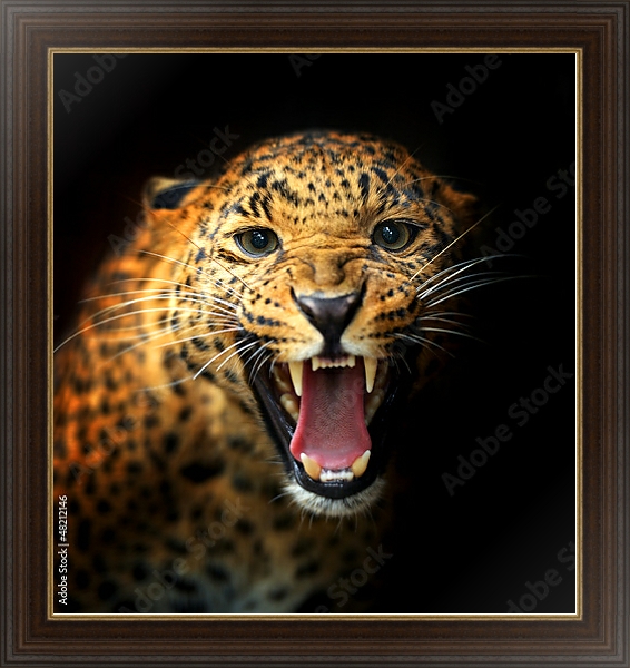Постер Леопард 2 с типом исполнения На холсте в раме в багетной раме 1.023.151