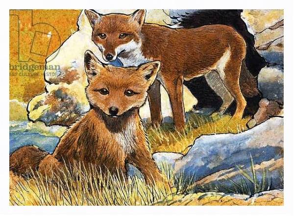 Постер Wind From the North: Facts about Foxes с типом исполнения На холсте в раме в багетной раме 221-03